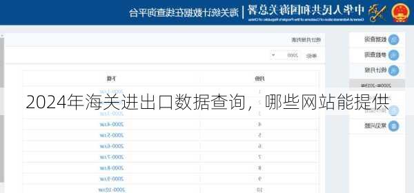 2024年海关进出口数据查询,哪些网站能提供