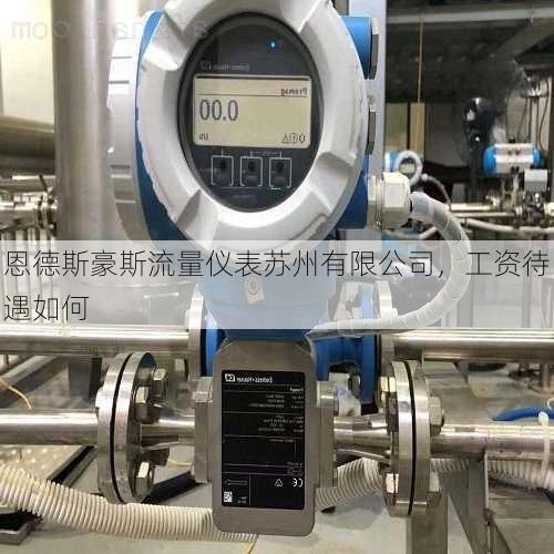恩德斯豪斯流量仪表苏州有限公司,工资待遇如何