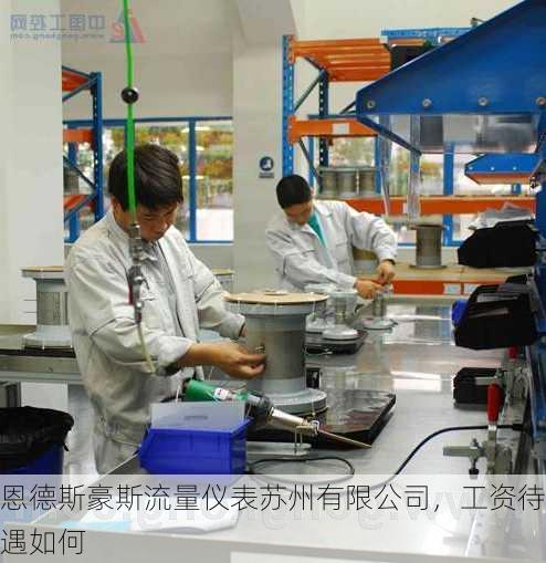 恩德斯豪斯流量仪表苏州有限公司,工资待遇如何