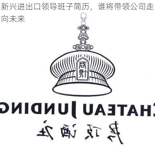新兴进出口领导班子简历,谁将带领公司走向未来