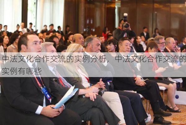 中法文化合作交流的实例分析,中法文化合作交流的实例有哪些