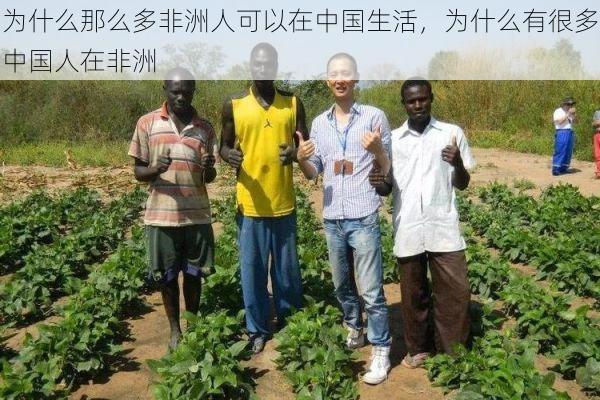为什么那么多非洲人可以在中国生活,为什么有很多中国人在非洲
