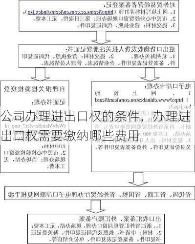 公司办理进出口权的条件,办理进出口权需要缴纳哪些费用