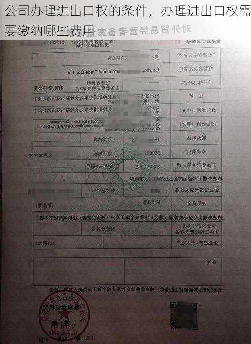公司办理进出口权的条件,办理进出口权需要缴纳哪些费用