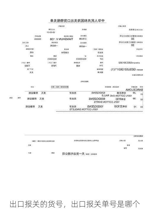 出口报关的货号，出口报关单号是哪个