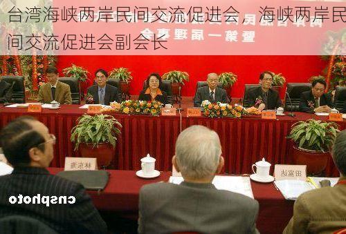 台湾海峡两岸民间交流促进会,海峡两岸民间交流促进会副会长