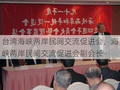 台湾海峡两岸民间交流促进会,海峡两岸民间交流促进会副会长