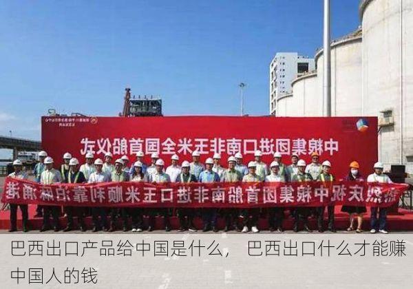 巴西出口产品给中国是什么, 巴西出口什么才能赚中国人的钱