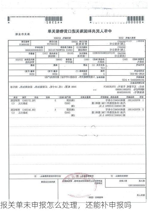 报关单未申报怎么处理,还能补申报吗