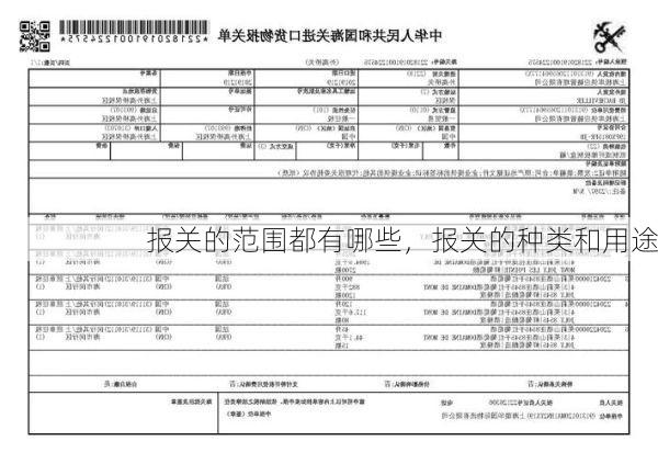 报关的范围都有哪些,报关的种类和用途