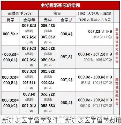 新加坡医学留学条件,新加坡医学留学费用
