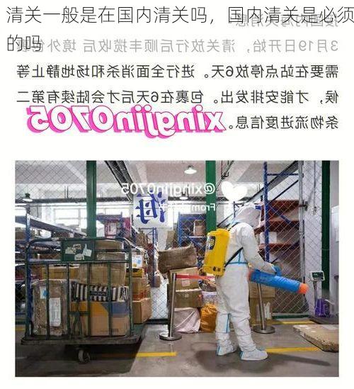 清关一般是在国内清关吗,国内清关是必须的吗