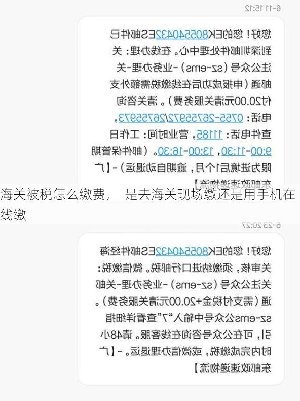 海关被税怎么缴费, 是去海关现场缴还是用手机在线缴