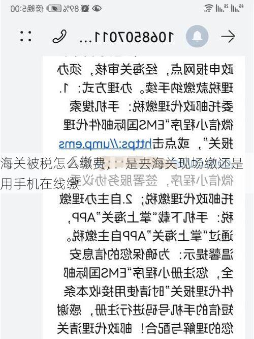 海关被税怎么缴费, 是去海关现场缴还是用手机在线缴
