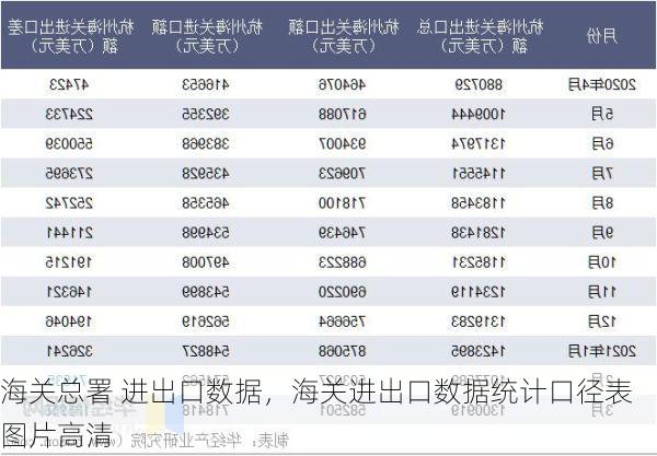 海关总署 进出口数据,海关进出口数据统计口径表图片高清