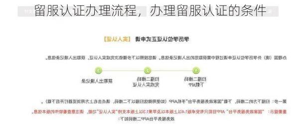 留服认证办理流程,办理留服认证的条件