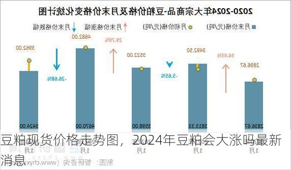 豆粕现货价格走势图,2024年豆粕会大涨吗最新消息