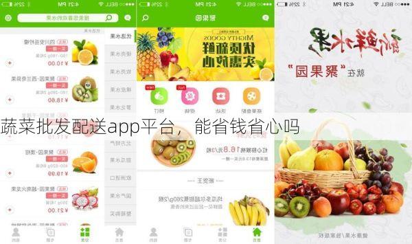 蔬菜批发配送app平台,能省钱省心吗