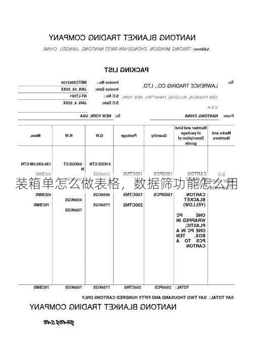 装箱单怎么做表格,数据筛功能怎么用