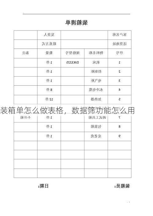 装箱单怎么做表格,数据筛功能怎么用