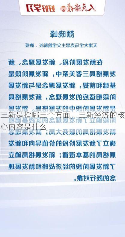 三新是指哪三个方面,三新经济的核心内容是什么
