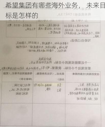 希望集团有哪些海外业务， 未来目标是怎样的