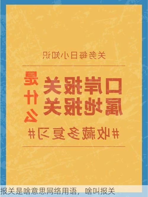 报关是啥意思网络用语,啥叫报关