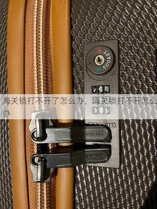 海关锁打不开了怎么办,海关锁打不开怎么办
