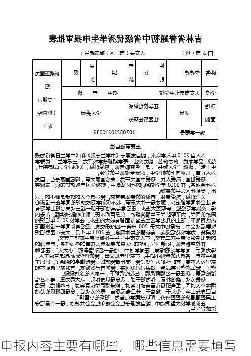 申报内容主要有哪些,哪些信息需要填写