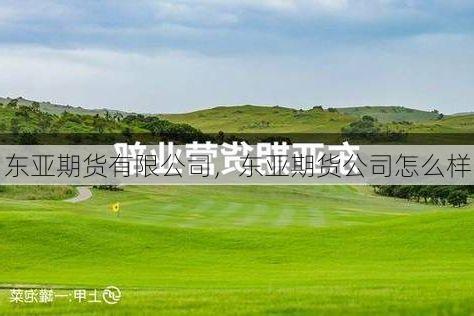 东亚期货有限公司,东亚期货公司怎么样