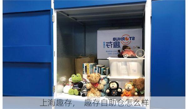 上海趣存, 趣存自助仓怎么样