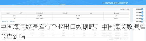中国海关数据库有企业出口数据吗,中国海关数据库能查到吗