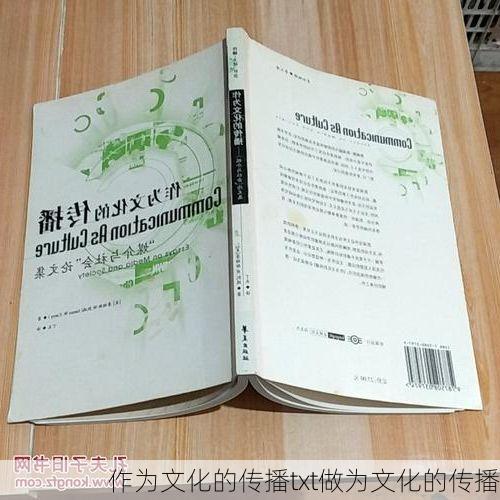 作为文化的传播txt做为文化的传播