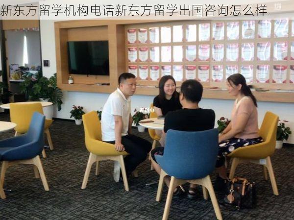 新东方留学机构电话新东方留学出国咨询怎么样