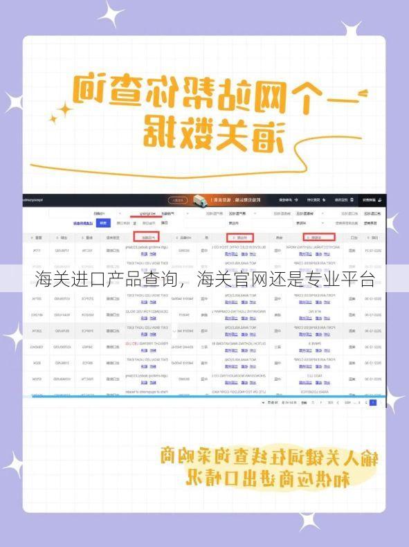 海关进口产品查询,海关官网还是专业平台