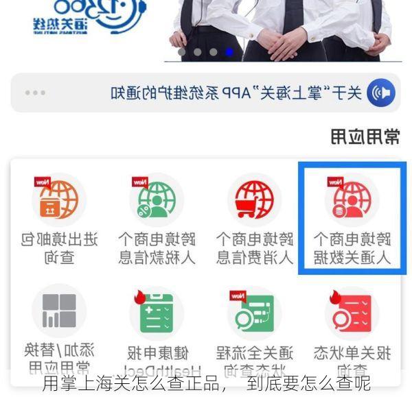 用掌上海关怎么查正品, 到底要怎么查呢