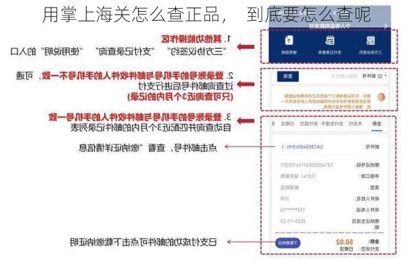 用掌上海关怎么查正品, 到底要怎么查呢