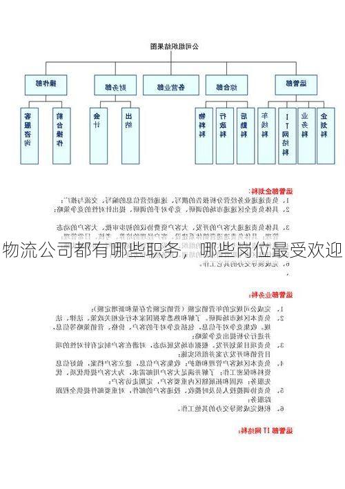 物流公司都有哪些职务,哪些岗位最受欢迎