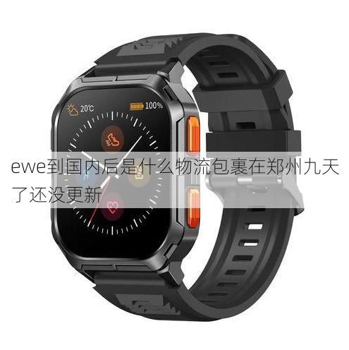 ewe到国内后是什么物流包裹在郑州九天了还没更新