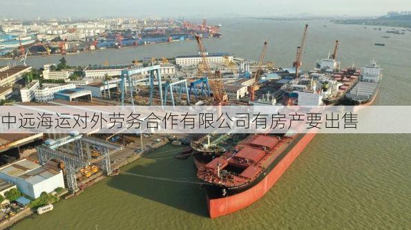 中远海运对外劳务合作有限公司有房产要出售