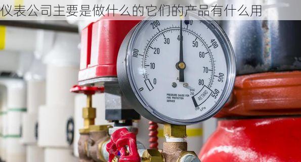 仪表公司主要是做什么的它们的产品有什么用