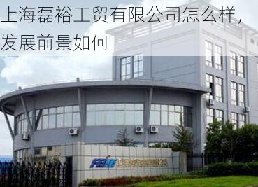 上海磊裕工贸有限公司怎么样,发展前景如何