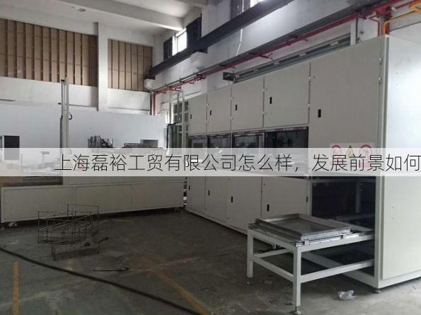 上海磊裕工贸有限公司怎么样,发展前景如何