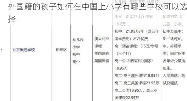 外国籍的孩子如何在中国上小学有哪些学校可以选择
