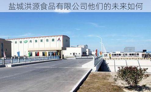 盐城洪源食品有限公司他们的未来如何