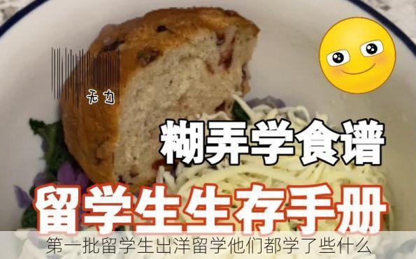 第一批留学生出洋留学他们都学了些什么