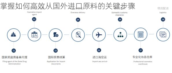 掌握如何高效从国外进口原料的关键步骤