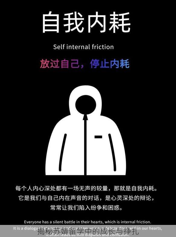 揭秘苏婧留学中的成长与挣扎